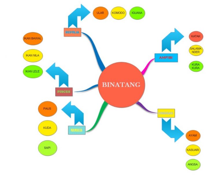 Pengertian, Manfaat, Dan Cara Membuat Peta Minda - Edi Purwanto